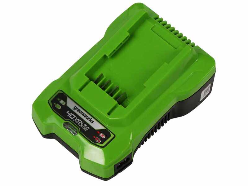 Greenworks GD40PSHK2 - Perche &eacute;lagueuse/Taille-haie sur perche de rallonge - 2 x 2Ah 40V
