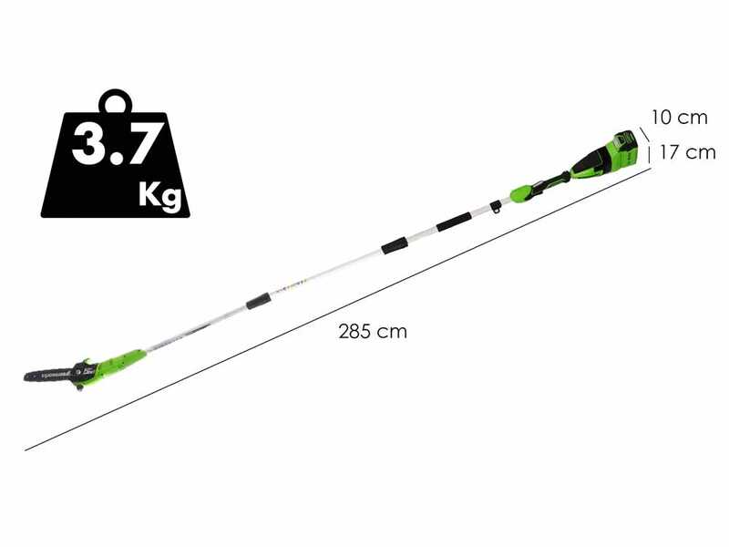 Greenworks GD40PSHK2 - Perche &eacute;lagueuse/Taille-haie sur perche de rallonge - 2 x 2Ah 40V