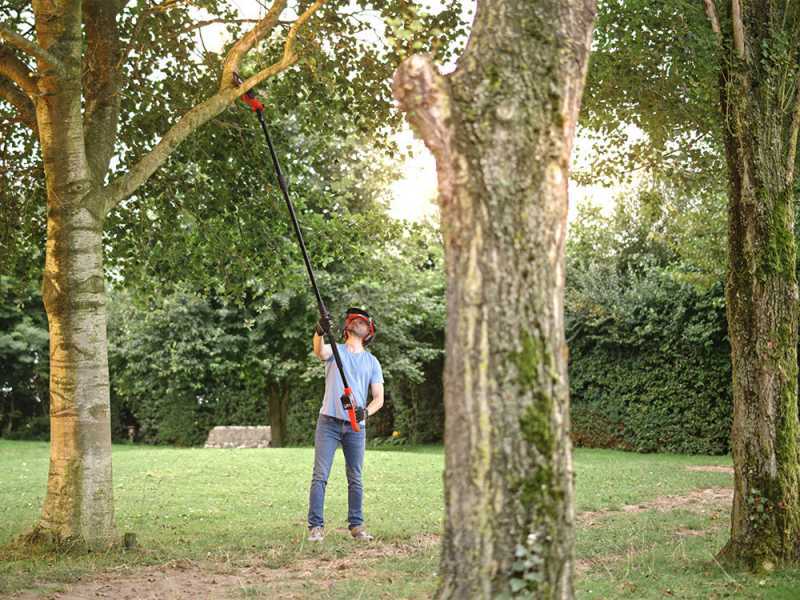 Skil 0650 CA - &Eacute;lagueuse sur perche &agrave; batterie - SANS BATTERIE NI CHARGEUR