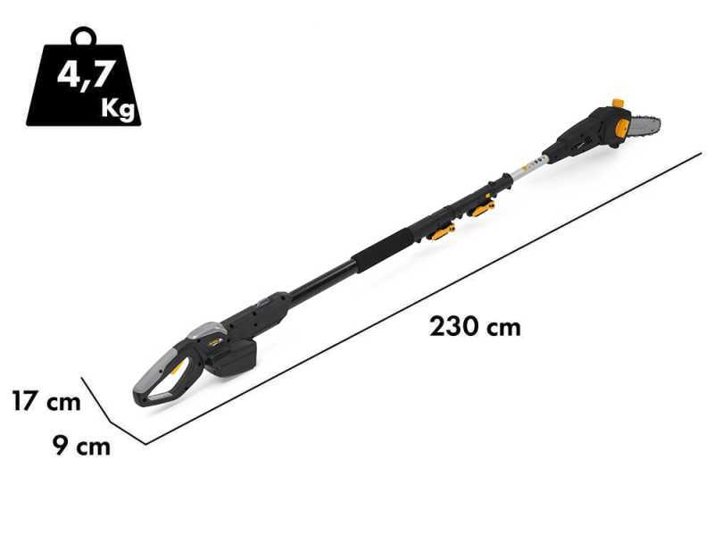 Alpina AM 20 Li Kit - &Eacute;lagueuse - Taille-haie sur perche de rallonge - 20V/4Ah