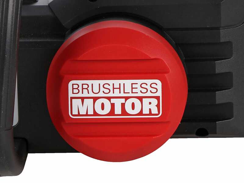 Worx Nitro WG350E - Tron&ccedil;onneuse &agrave; batterie 20V/4Ah - Lame 30 cm