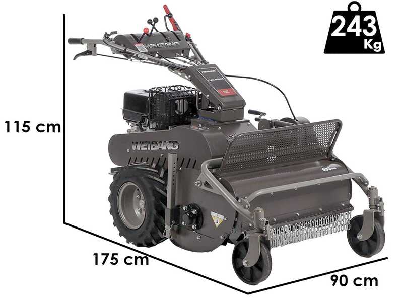 Weibang WBGT6813 - Tondeuse d&eacute;broussailleuse &agrave; couteaux - Moteur GT1300