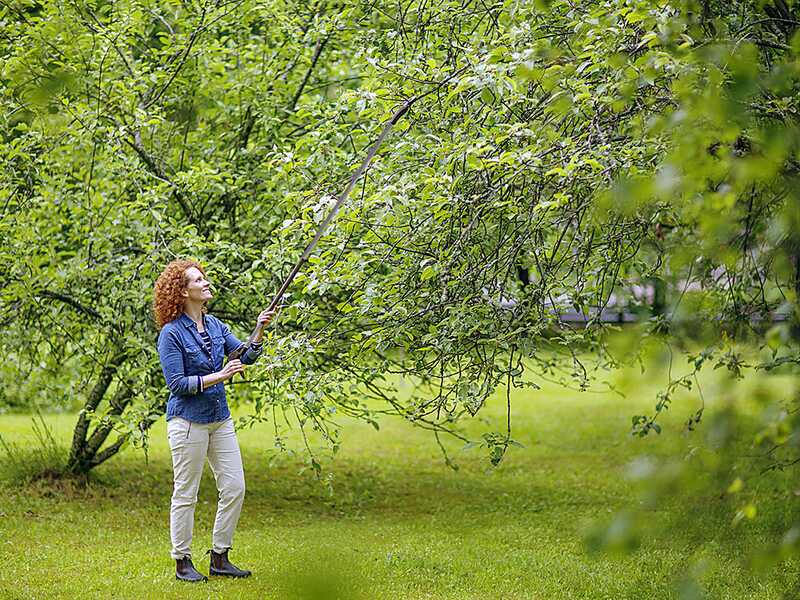 Fiskars Light UP69 - Coupe-branches sur longue perche orientable - &Oslash;&nbsp;12&nbsp;mm