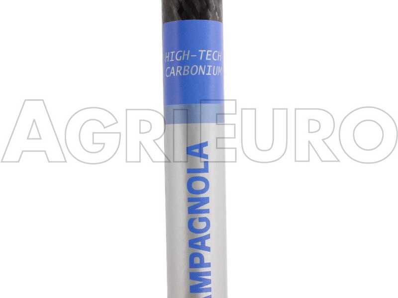 Campagnola Icarus V1 ECO Plug-in - Peigne vibreur &eacute;lectrique 290 cm &agrave; batterie de type automobile avec c&acirc;ble inclus - Perche fixe en carbone