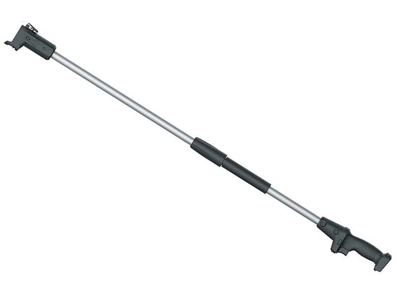 Worx Nitro WG325E - &Eacute;lagueuse sur batterie + perche de rallonge - 20V/2Ah