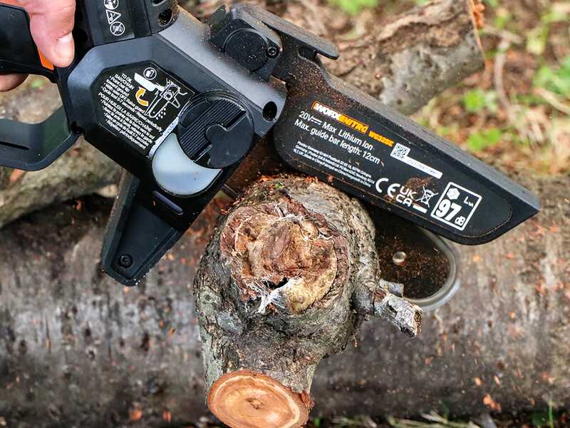 Worx Nitro WG325E - &Eacute;lagueuse sur batterie + perche de rallonge - 20V/2Ah