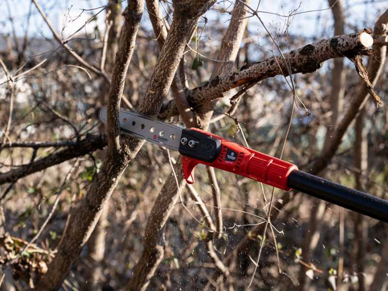 Blue Bird PCS 23-08 NIMBLER - Perche &eacute;lagueuse &agrave; batterie - 18V 4Ah