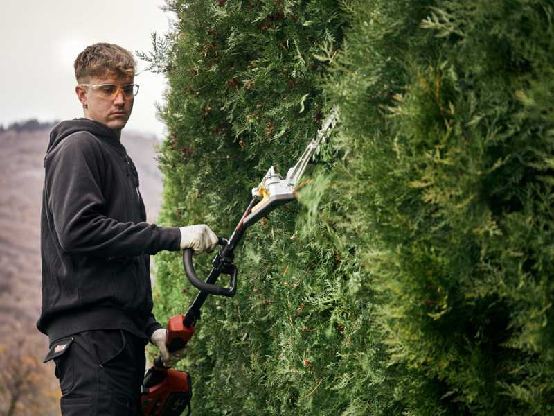 Blue Bird PHT 23-54 - Taille-haie &agrave; batterie sur perche de rallonge - 50,4 V/5 Ah