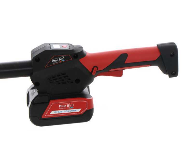 Blue Bird PCS 22-10A OIL PUMP - Perche &eacute;lagueuse t&eacute;lescopique &agrave; batterie - 18V 5Ah