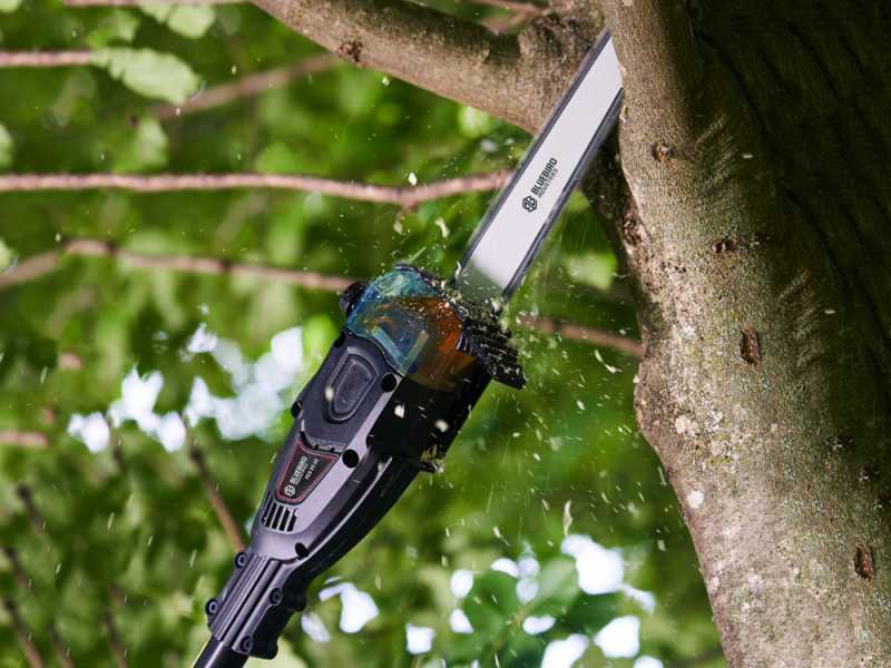 Blue Bird PCS 22-10A OIL PUMP - Perche &eacute;lagueuse t&eacute;lescopique &agrave; batterie - 18V 5Ah