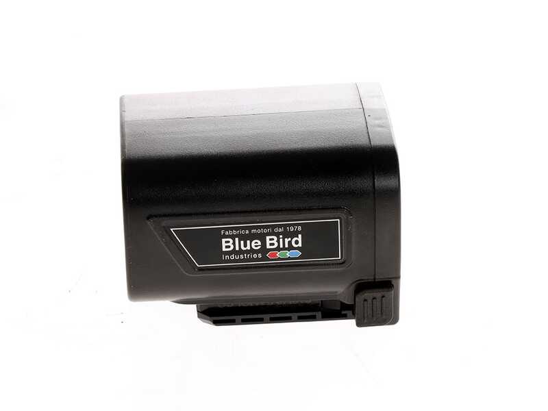 Blue Bird HPS 22-220 - S&eacute;cateur de taille &eacute;lectrique sur perche de 220 cm -  21,6V 2,5Ah