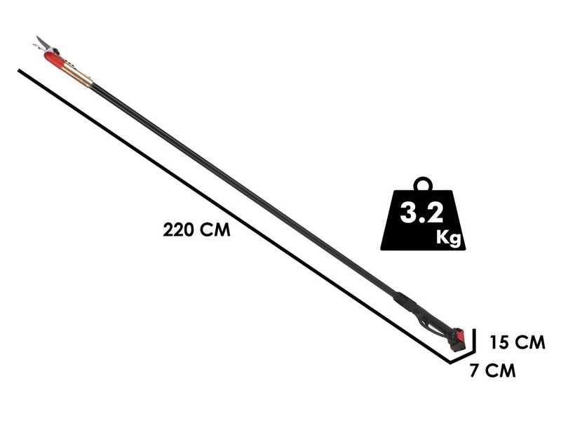 Blue Bird HPS 22-220 - S&eacute;cateur de taille &eacute;lectrique sur perche de 220 cm -  21,6V 2,5Ah