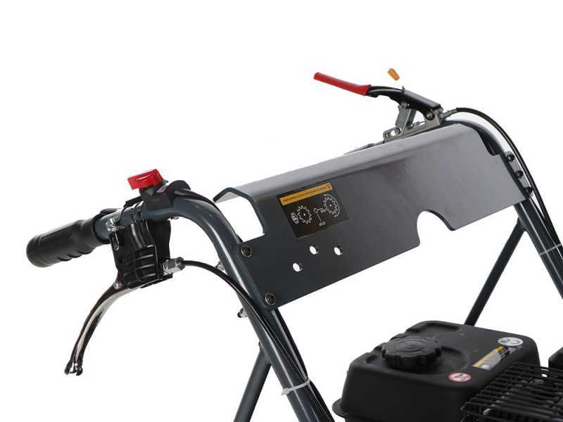 Blue Bird Carrier 500 - Brouette &agrave; chenilles extensible - Charge 500Kg