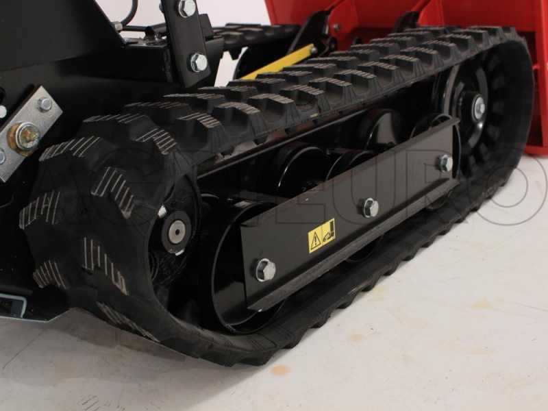 Brouette &agrave; moteur AgriEuro Euro Porter 550 - benne dumper charge 550 kg
