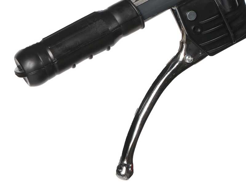 Blue Bird Carrier 300 - Brouette extensible &agrave; moteur sur chenilles - Charge 300Kg