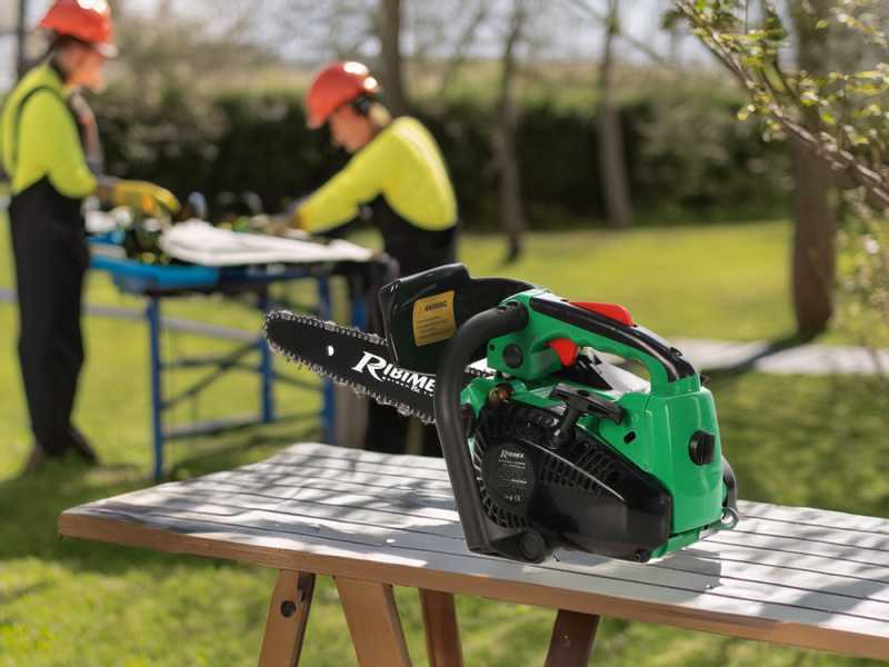 Ribimex PRTRT301/LC - Tron&ccedil;onneuse de taille thermique - Lame carving 30cm