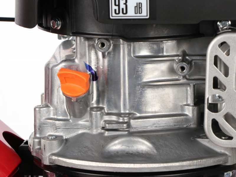Italian Power RG1.8-45Q-D - Motobineuse &agrave; essence 5,5 CV - Moteur Rato RV160-PRO