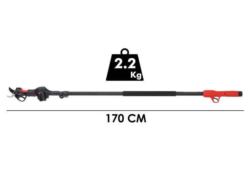 Blue Bird PS23-28+CS23-05A - Kit s&eacute;cateur sur perche + &eacute;lagueuse &agrave; batterie - 3x 14,4 V 2,5 Ah