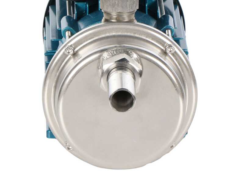 Tellarini ALM 25 - Pompe &eacute;lectrique de transfert pour huile en acier inoxydable - Raccord droits en acier inoxydable - Monophas&eacute;e - 230V - Choisissez vos raccords !