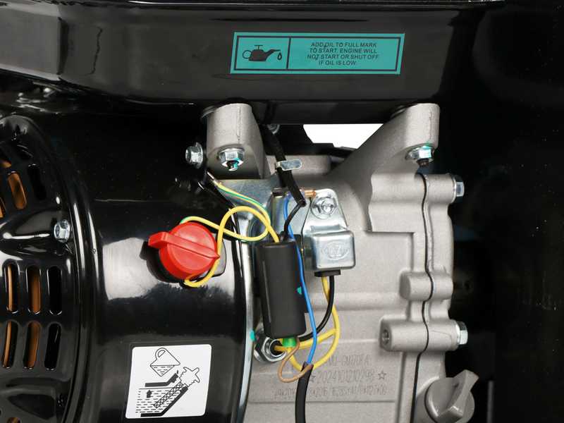 BlackStone DSP 70 J - Broyeur thermique  - Moteur &agrave; essence de 212 cm3