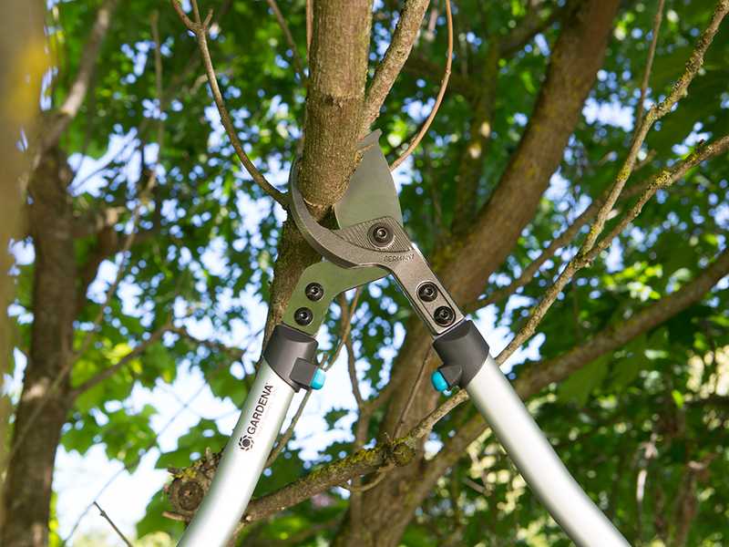 Gardena 700B Premium - Coupe-branches bypass - Longueur 70cm