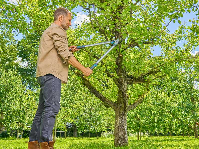 Gardena EasyCut L - Coupe-branches Bypass - longueur 67cm