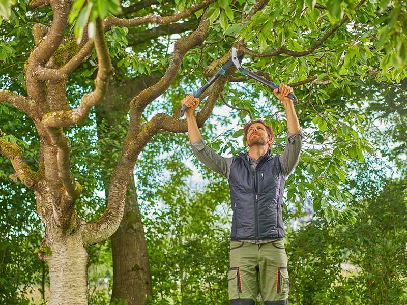 Gardena EnergyCut Pro S - Coupe-branches Bypass - Longueur 60cm