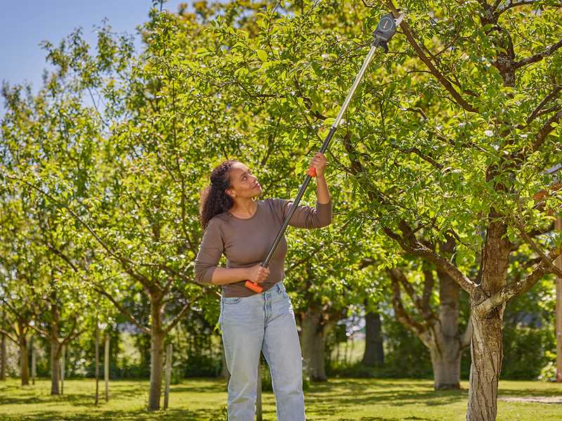 Gardena StarCut Pro S - Coupe-branches sur perche fixe de 160cm - &Oslash; 32 mm
