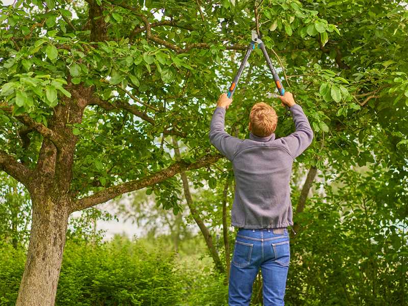 Gardena TeleCut Pro S - Coupe-branches Bypass T&eacute;lescopique - Longueur 52/67cm