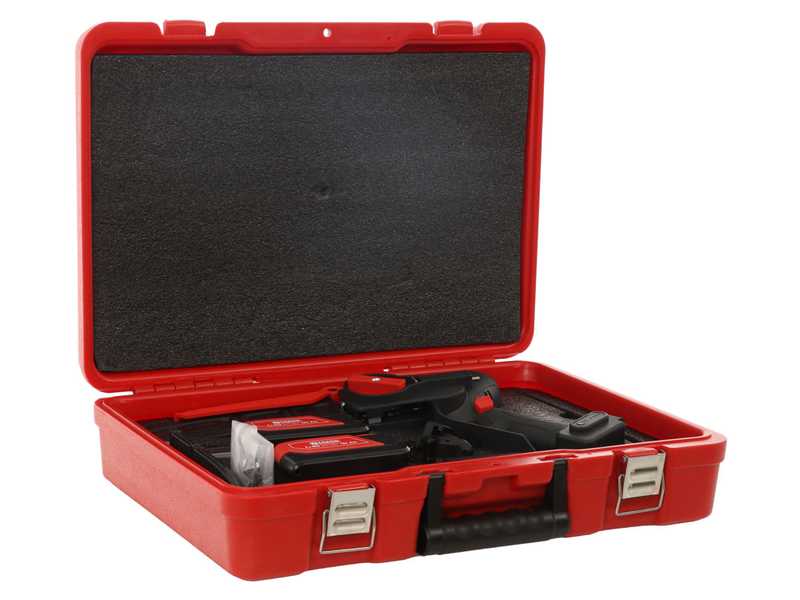 Zanon ZP 185 - &Eacute;lagueuse sur batterie - 2x 18.5V 5Ah