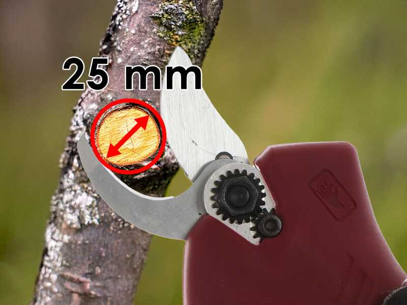 Archman FE04-25 - S&eacute;cateur de taille &agrave; batterie - 2x 16.8V 2Ah - Diam&egrave;tre de coupe 25 mm