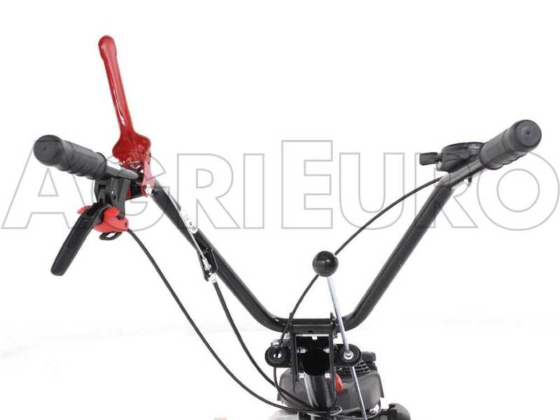 Eurosystems P55 - D&eacute;broussailleuse &agrave; roues &agrave; essence - Honda GCVX 170
