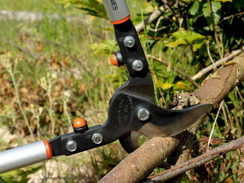 Bahco P19-80-F - Coupe-branches Bypass - Coupe 50 mm - Longueur 80 cm