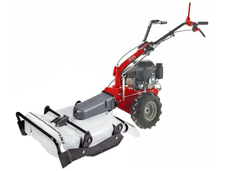 Eurosystems P55 - Tondeuse d&eacute;broussailleuse thermique - Faucheuse PRO - Loncin 196 cc