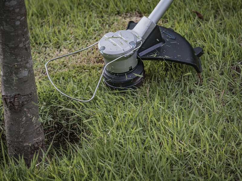 Bosch Professional GRT 18V-33 - D&eacute;broussailleuse &agrave; batterie - SANS BATTERIE NI CHARGEUR