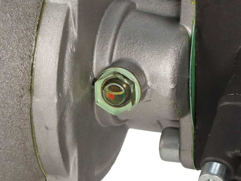 Kit Motopompe &eacute;lectrique de pulv&eacute;risation avec chariot - Bertolini Pumps PA 330.1 VF