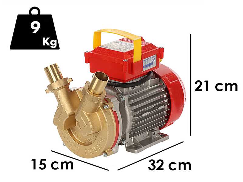 Rover 40 CE - Pompe &eacute;lectrique de transfert en bronze - Monophas&eacute;e - 230 V
