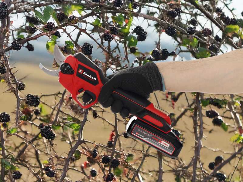 Einhell GP-LS 18/28 Li T BL-Solo - S&eacute;cateur &eacute;lectrique sur perche - SANS BATTERIE NI CHARGEUR