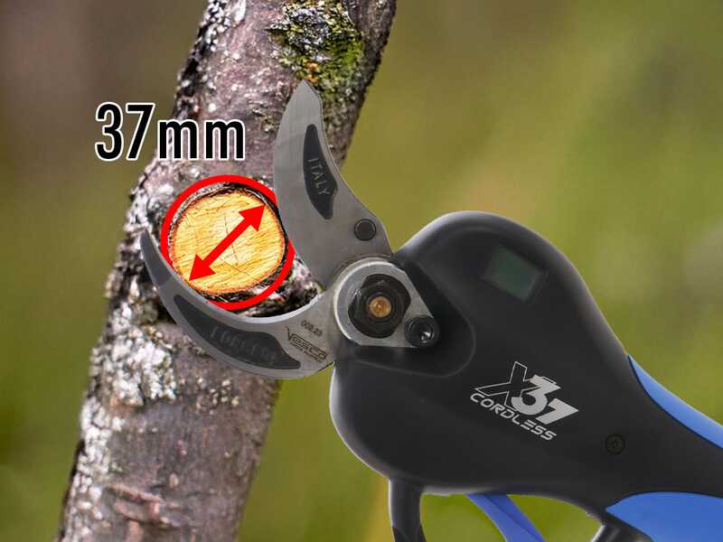 VESCO X37 - S&eacute;cateur &eacute;lectrique &agrave; batterie + perche t&eacute;lescopique 150-230 cm - 2x 21,6 V 2,5 Ah