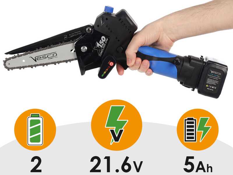 Vesco X150 - &Eacute;lagueuse manuelle &agrave; batterie + perche t&eacute;lescopique 150-230 cm - 2 batteries de 21,6 V 2,5 Ah