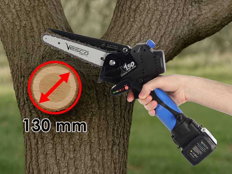 Vesco X150 - &Eacute;lagueuse manuelle &agrave; batterie + perche t&eacute;lescopique 150-230 cm - 2 batteries de 21,6 V 2,5 Ah