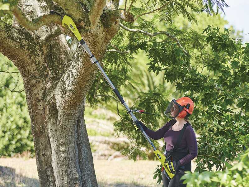 Ryobi RY18PP20A-0 - &Eacute;lagueuse &agrave; batterie sur perche t&eacute;lescopique - Guide 20 cm - 18 V/4 Ah