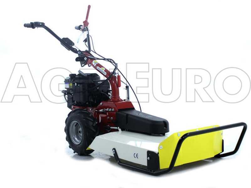 Tondeuse d&eacute;broussailleuse thermique Eurosystems P55 &agrave; d&eacute;marrage &eacute;lectrique &agrave; batterie