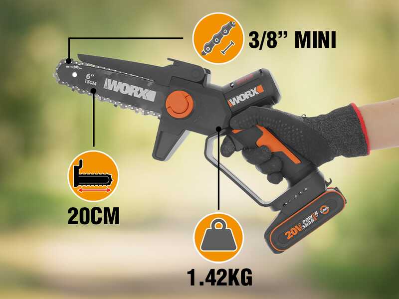 Worx WG327E - &Eacute;lagueuse sur batterie + perche de rallonge de 125 cm - 20 V 2 Ah