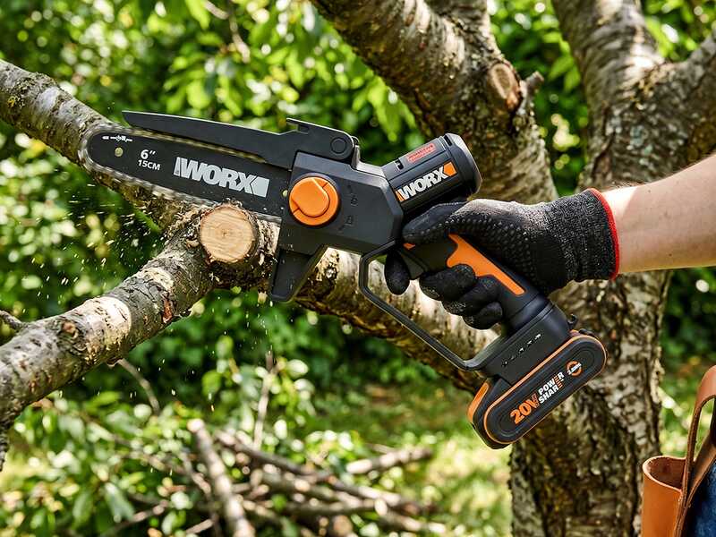 Worx WG327E - &Eacute;lagueuse sur batterie + perche de rallonge de 125 cm - 20 V 2 Ah