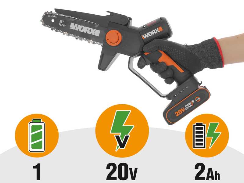 Worx WG327E - &Eacute;lagueuse sur batterie + perche de rallonge de 125 cm - 20 V 2 Ah