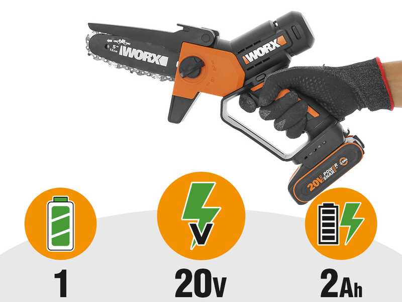 Worx WG326E - &Eacute;lagueuse sur batterie - 20 V 2 Ah