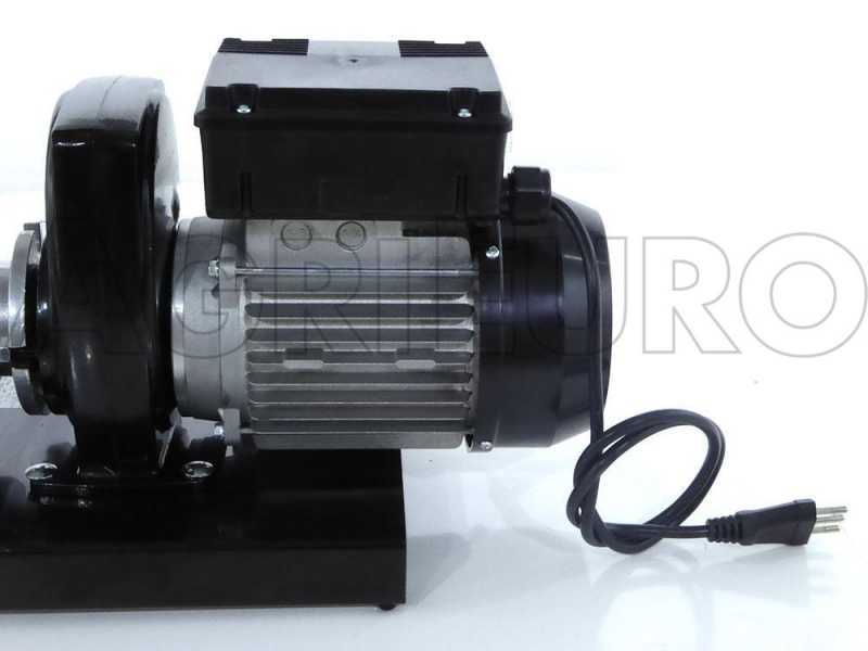 Palumbo Pavi SM 5 INOX - Épépineuse avec moteur électrique 600 W 220 V