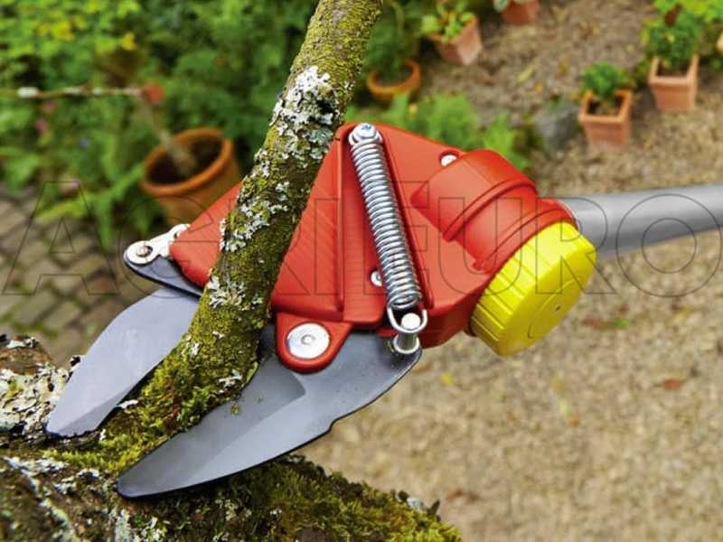 Wolf Garten RR 200 - Coupe-branches professionnel - Perche de rallonge de 200&nbsp;cm - &Oslash;&nbsp;32&nbsp;mm