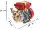 Pompe &eacute;lectrique de transfert Rover 25 CE moteur monophas&eacute; 0,8 hp &ndash; &eacute;lectropompe vin et eau